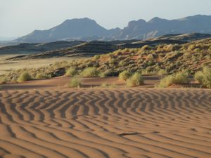 Desert walk with Frans (63)