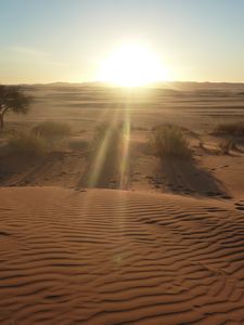 Sunset on Sossus Namib Desert (10)