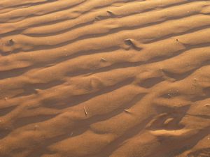 Sunset on Sossus Namib Desert (14)