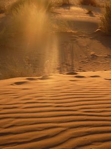 Sunset on Sossus Namib Desert (16)
