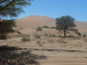 Deadvlei Namibia Desert (4)