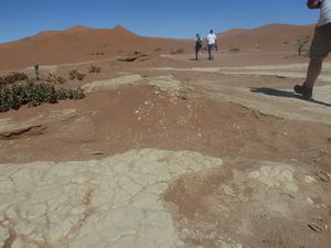 Deadvlei Namibia Desert (11)