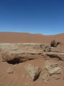 Deadvlei Namibia Desert (12)