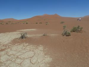 Deadvlei Namibia Desert (14)