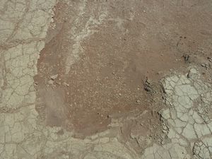 Deadvlei Namibia Desert (21)