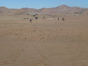Deadvlei Namibia Desert (28)
