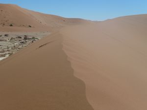 Deadvlei Namibia Desert (32)