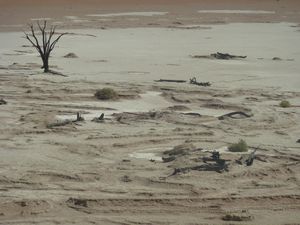 Deadvlei Namibia Desert (35)