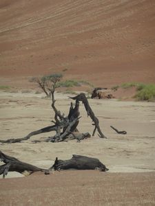 Deadvlei Namibia Desert (48)