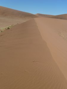 Deadvlei Namibia Desert (54)
