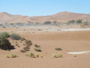Deadvlei Namibia Desert (66)