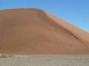 Dune 45 Namib Desert (2)