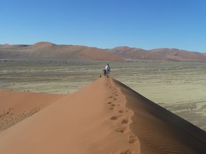 Dune 45 Namib Desert (9)