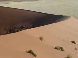 Dune 45 Namib Desert (22)