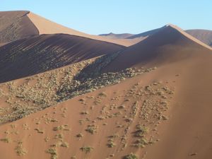Dune 45 Namib Desert (24)