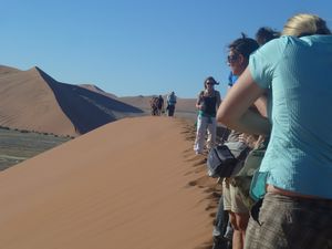 Dune 45 Namib Desert (25)