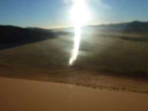 y Dune 45 Namib Desert (73)
