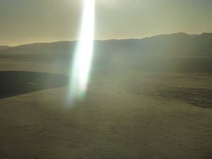y Dune 45 Namib Desert (74)