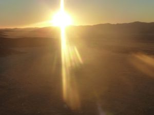 y Dune 45 Namib Desert (77)