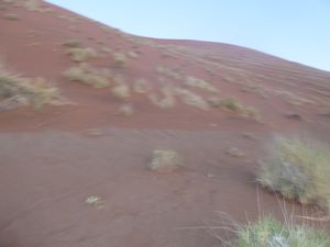 z Dune 45 sunset Namib Desert (70)