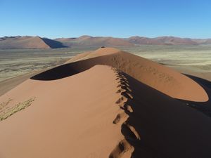 z Dune 45 sunset Namib Desert (73)
