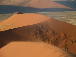 z Dune 45 sunset Namib Desert (79)