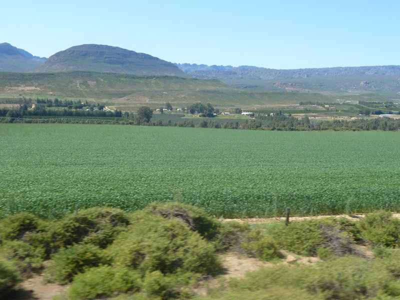 0. Driving from Orange River to Cape Town (89)