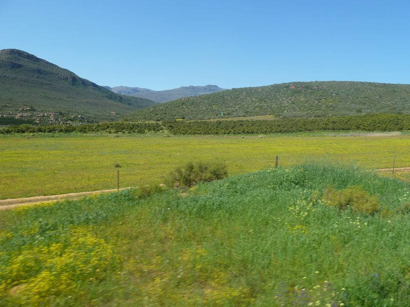0. Driving from Orange River to Cape Town (92)