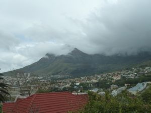 2. Cape Town from Hop On-Hop Off Bus (15)