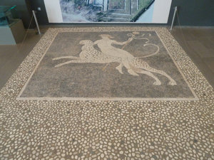 Mosaics at Ancient Pella Museum and City Birth place of Alexander 111 (10)