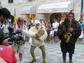 The chicken show at Kotor Montenegro (2)