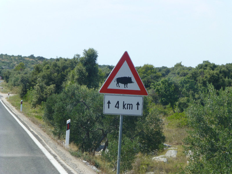 We see these signs throughout Croatia