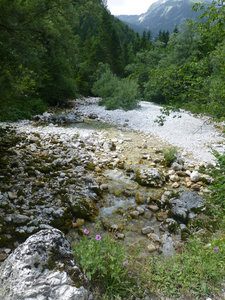 Voje Valley and Mostnica Gorge Slovenia (41)