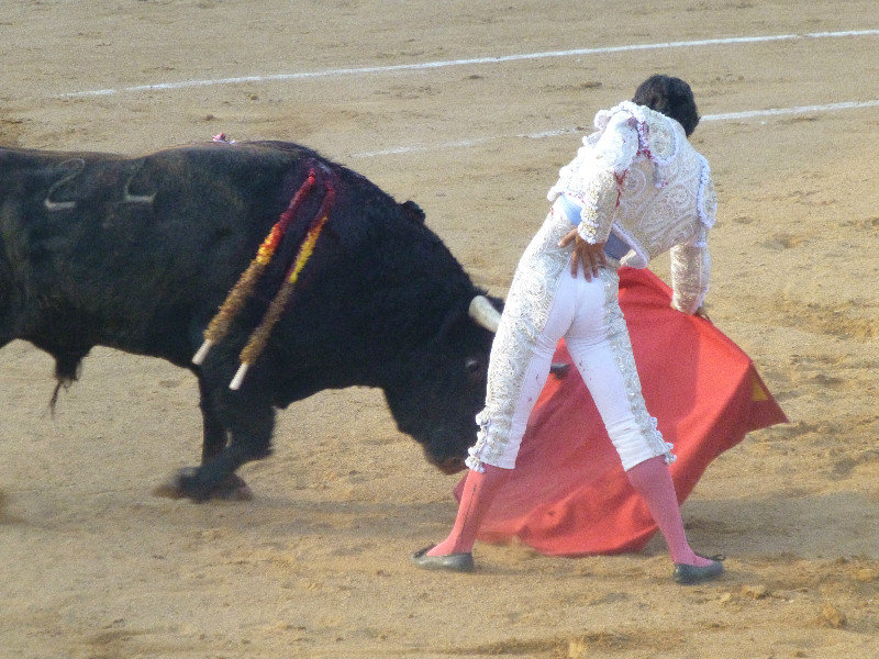 Bull Fight at Guijuelo central Spain 18 Aug 2013 (1)