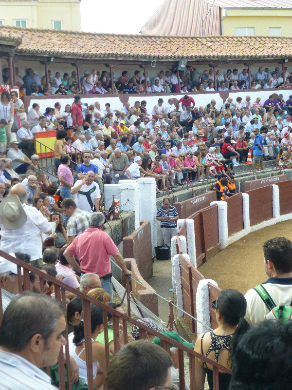 Bull Fight at Guijuelo central Spain 18 Aug 2013 (6)
