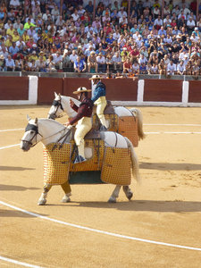 Bull Fight at Guijuelo central Spain 18 Aug 2013 (10)