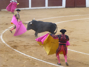 Bull Fight at Guijuelo central Spain 18 Aug 2013 (11)