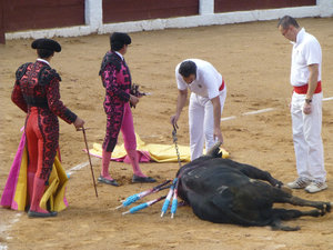 Bull Fight at Guijuelo central Spain 18 Aug 2013 (14)