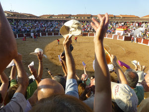 White handkerchiefs and hats are waved after the Bull is killed at Guijuelo central Spain 18 Aug 2013 (125)