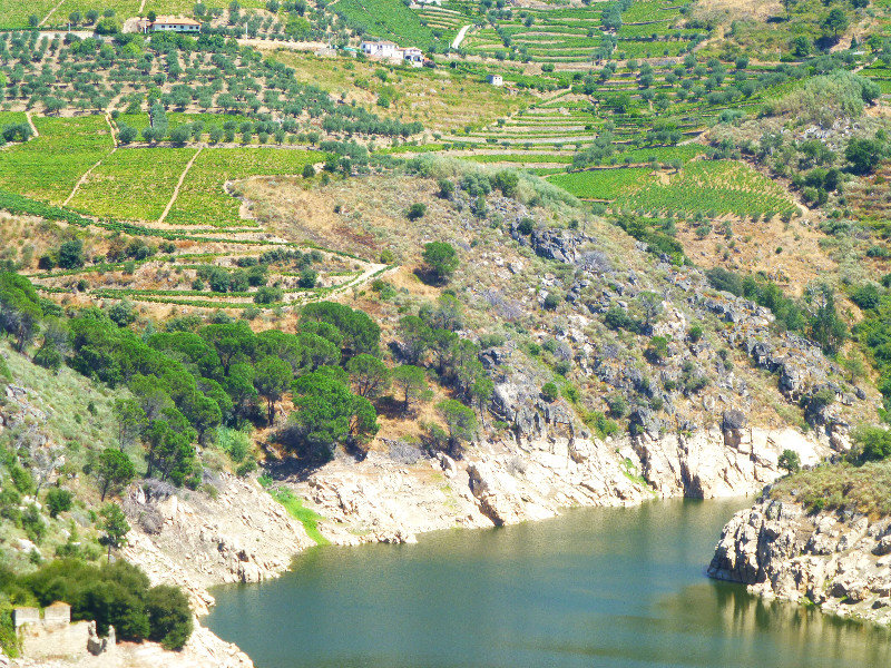 Douro Valley from Salamanca Spain to Porto Portugal 19 Aug 2013 (8)