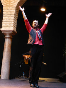 Flamenco dancing at Museo del baile flamenco in Saville Spain 25 Aug 2013 (9)