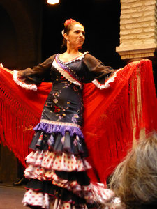 Flamenco dancing at Museo del baile flamenco in Saville Spain 25 Aug 2013 (21)