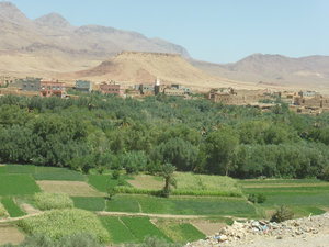 From Erfoud to Ouarzazate Morocco (12)