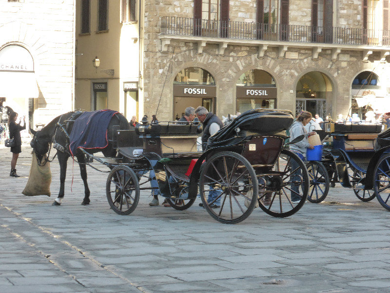 Around Piazza della Signoria Florence Italy (3)