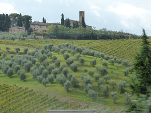 Tuscany landscape Italy (1)