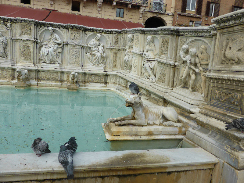 Happy Fountain on Il Campo Piazza in Siena Tuscany Region Italy 12 Oct 2013 (2)