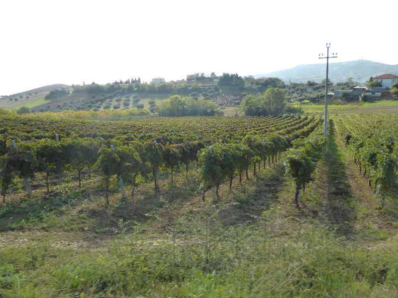 Countryside from Pineto to San Marino 20 Oct 2013 (9)