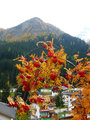 Dolomites northern Italy 22 Oct 2013 (28)