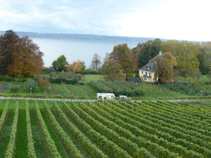 Near Lake Bodensee Germany 27 Oct 2013 (4)