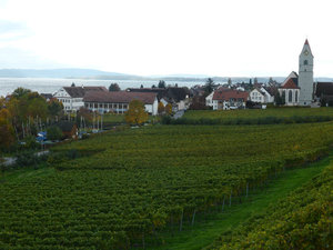 Near Lake Bodensee Germany 27 Oct 2013 (6)
